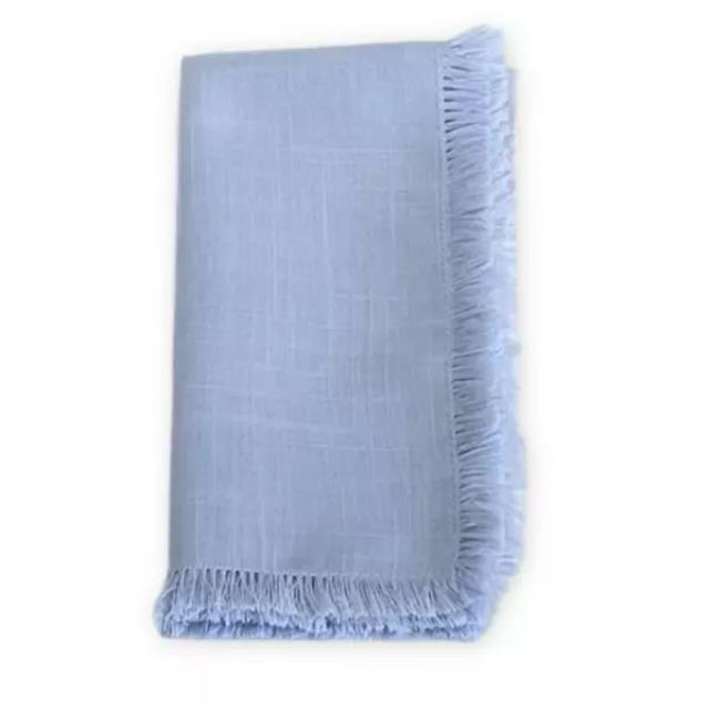Rental store for NAPKIN FRINGE SKY BLUE in Cornelius NC