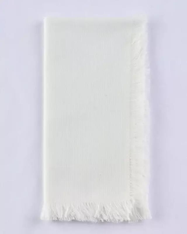 Rental store for NAPKIN FRINGE WHITE in Cornelius NC