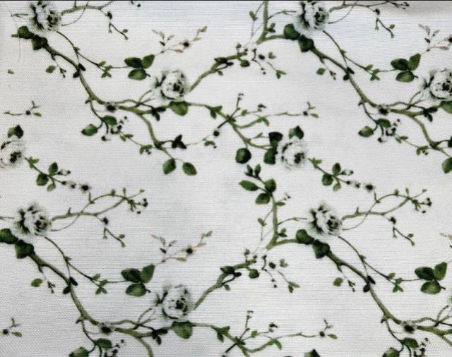 Rental store for SERAPHINE GREEN LINENS in Cornelius NC