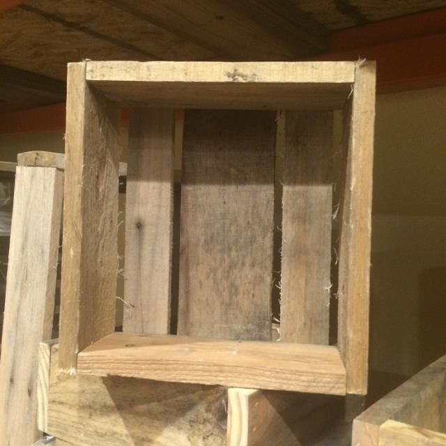 Where to rent PALLET PLANTER XL 15 x15 in Cornelius NC