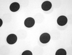 Where to rent POLKA DOT in Cornelius NC